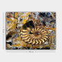 Wallity Lienzo Decorativo Multicolor 70 x 100 cm